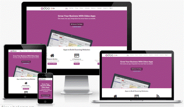 Odoo CMS - une grande photo